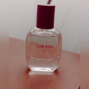 Zara Gardenia 30 ml
